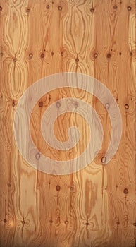 Maritime pine wall plywood texture photo