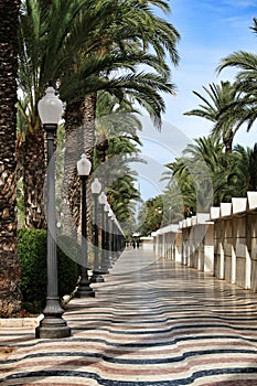 Maritime Promenade called Explanada in Alicante photo
