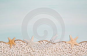 Maritime turquoise blue and white background with shells.