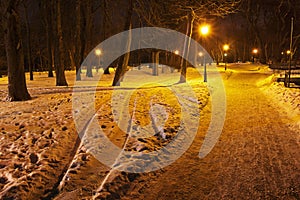 Mariyinsky Park in the evening