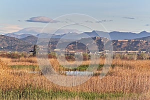 Natural landscape of a small wetland photo