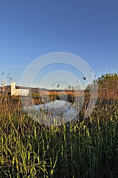 Natural landscape of a small wetland photo