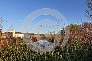 Natural landscape of a small wetland photo