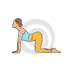 Marjariasana cat pose color line illustration. Pictogram for web page