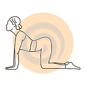 Marjariasana cat pose color line illustration. Pictogram for web page