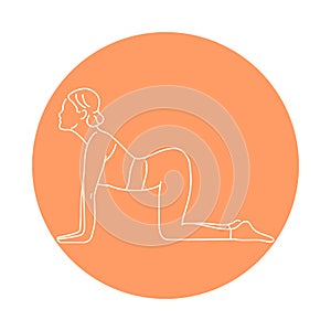 Marjariasana cat pose color line illustration. Pictogram for web page