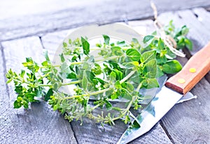 Marjoram sprig