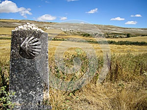 Mark in the Camino de Santiago photo