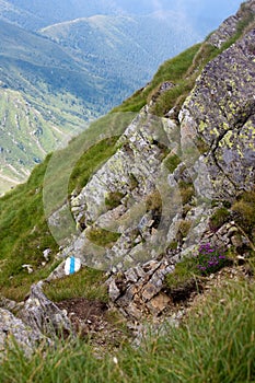 Marked Mountain Path photo