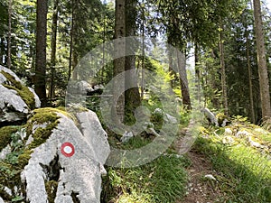 Marked tourist-hiking trail in Golubinjak forest park or Cave trail in Gorski kotar - Sleme, Croatia