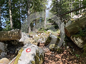 Marked tourist-hiking trail in Golubinjak forest park or Cave trail in Gorski kotar - Sleme, Croatia