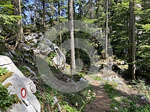 Marked tourist-hiking trail in Golubinjak forest park or Cave trail in Gorski kotar - Sleme, Croatia