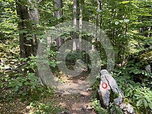 Marked tourist-hiking trail in Golubinjak forest park or Cave trail in Gorski kotar - Sleme, Croatia