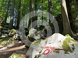 Marked tourist-hiking trail in Golubinjak forest park or Cave trail in Gorski kotar - Sleme, Croatia