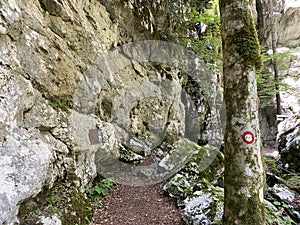 Marked tourist-hiking trail in Golubinjak forest park or Cave trail in Gorski kotar - Sleme, Croatia