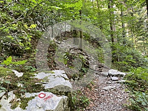 Marked tourist-hiking trail in Golubinjak forest park or Cave trail in Gorski kotar - Sleme, Croatia