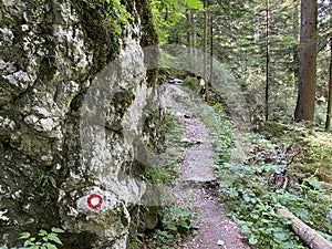 Marked tourist-hiking trail in Golubinjak forest park or Cave trail in Gorski kotar - Sleme, Croatia