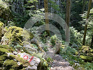 Marked tourist-hiking trail in Golubinjak forest park or Cave trail in Gorski kotar - Sleme, Croatia