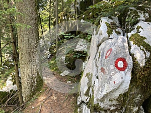 Marked tourist-hiking trail in Golubinjak forest park or Cave trail in Gorski kotar - Sleme, Croatia