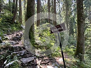 Marked tourist-hiking trail in Golubinjak forest park or Cave trail in Gorski kotar - Sleme, Croatia