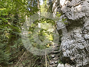 Marked tourist-hiking trail in Golubinjak forest park or Cave trail in Gorski kotar - Sleme, Croatia