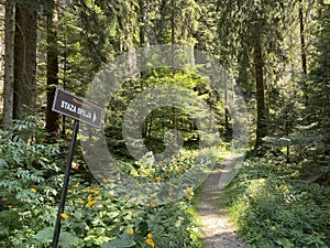 Marked tourist-hiking trail in Golubinjak forest park or Cave trail in Gorski kotar - Sleme, Croatia