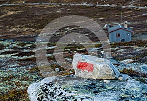 Marked trail in the mountains