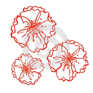 Marker bright red flower with leaves hand drawn line stroke pattern watercolor set