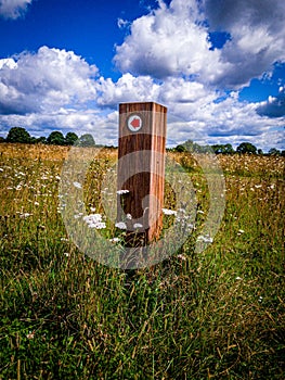 Marker post showing an arrow in afield with wildflowers