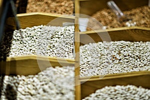 Market Bazaar Showcase With Wide Range Of Varicolored Sorts Of Raw Dry Beans