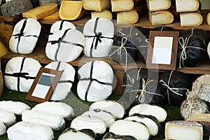 Market counter with caprine cheese