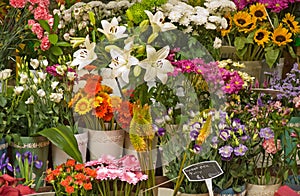 Market flower stall display.