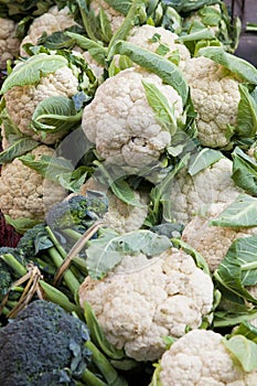 Market Fresh Cauliflowers, Nepal