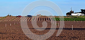 Market gardening  utilising itinerant workers in suburban Casey,Victoria