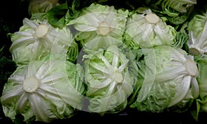 Market: Lettuce