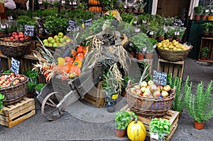 Market with pumpkin, apples, greenery and decoration