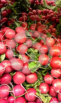 Market: Radishes