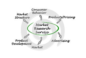 Market Research Surveys