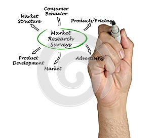 Market Research Surveys