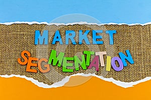 Market segmentation marketing segment group business target audience