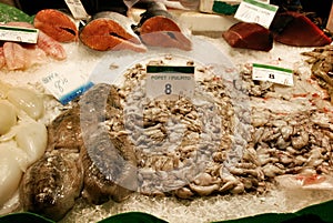 Market shop seafood photo