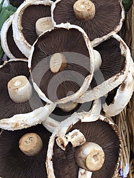 Market stall baskets full of fresh Portobello mushrooms