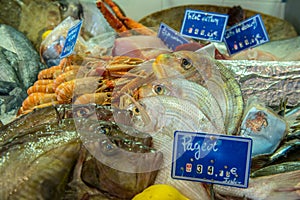 Market stall with fresh seafood