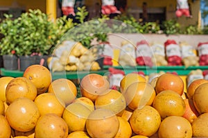 Market stall with oranges