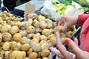 Market stall for vegetable