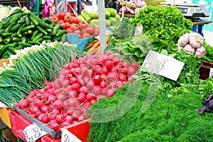 Market table with fresh vegetables from farmers