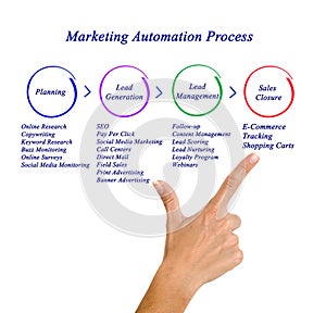 Marketing Automation Process