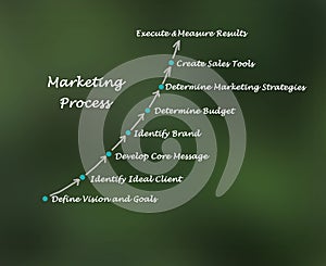 Marketing Process