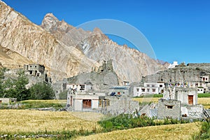 Markha ancient village along the Markha valley trek. Ladakh, India