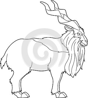 Outlined Markhor Animal Cartoon Character photo